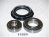 NISSA 4020221P25 Wheel Bearing Kit